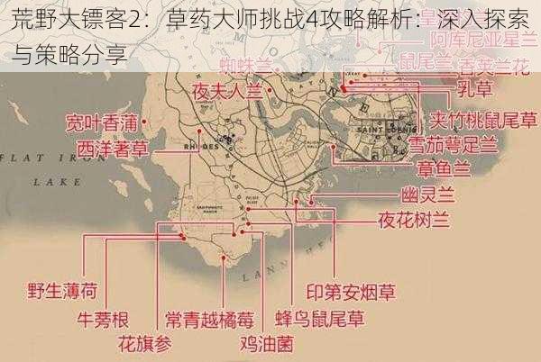 荒野大镖客2：草药大师挑战4攻略解析：深入探索与策略分享