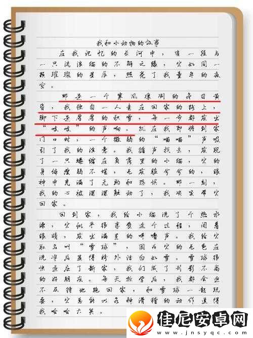 老李和儿媳妇的生活点滴：平凡日子中的相处故事