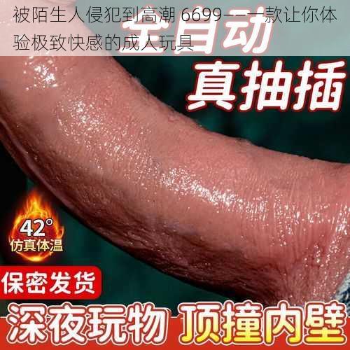 被陌生人侵犯到高潮 6699——一款让你体验极致快感的成人玩具