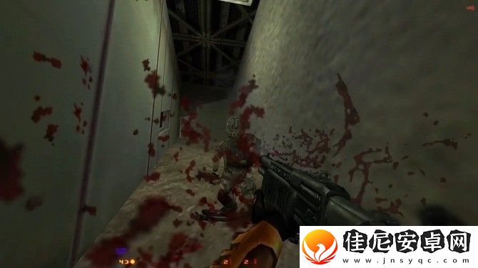 半条命modBrutal