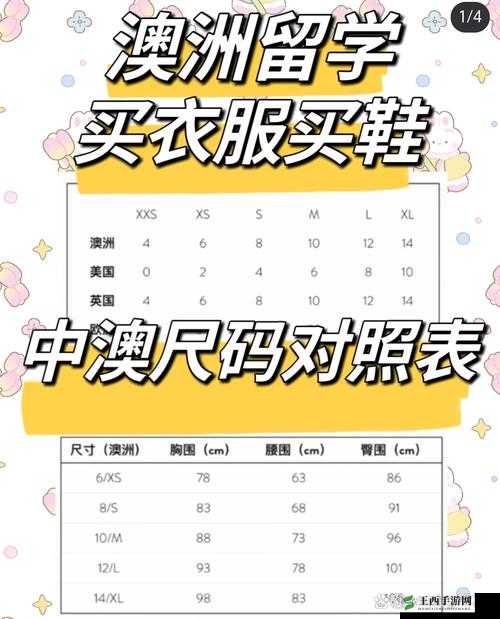 等级提升三叶草 m 码和欧洲码区别之详细对比与分析