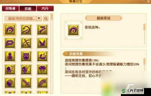 梦幻西游手游深度解析，攻宠技能搭配与资源管理策略的艺术