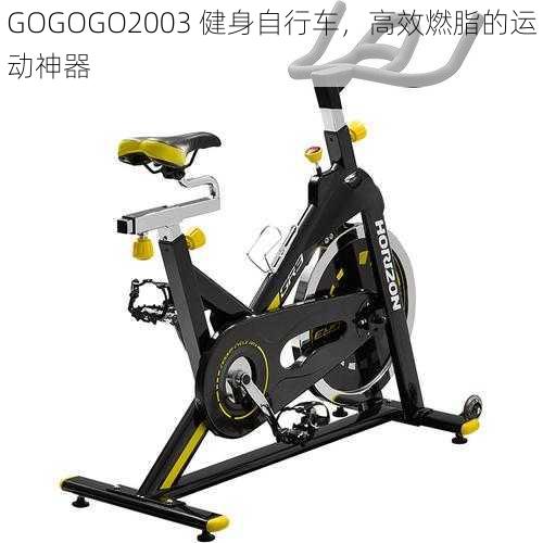 GOGOGO2003 健身自行车,高效燃脂的运动神器
