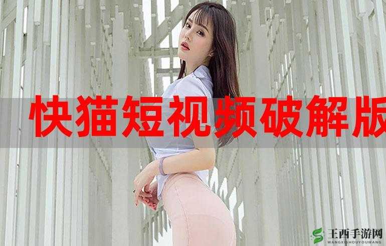 新版猫咪短视频软件：带你领略精彩无限的短视频世界