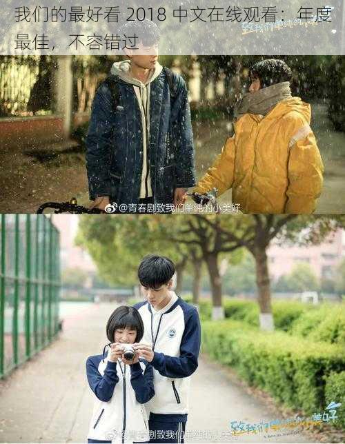 我们的最好看 2018 中文在线观看：年度最佳，不容错过