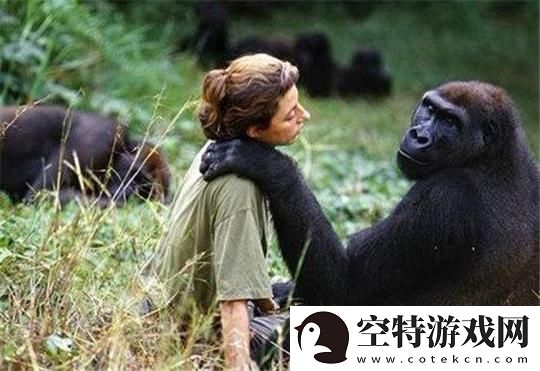 动物与人类的“纠葛”