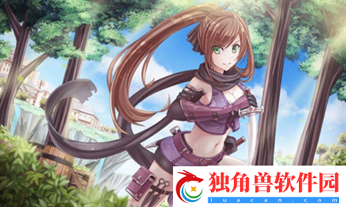 欧美VPSWINDOWS极品：性能参数对比分析