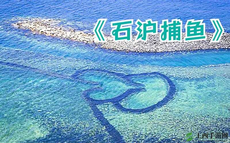 捕鱼来了游戏攻略，深度解析技能使用技巧与高效资源管理艺术