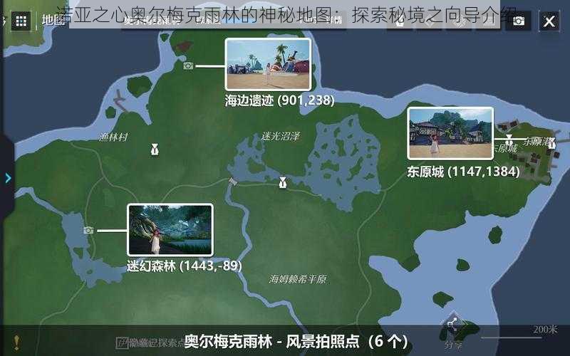 诺亚之心奥尔梅克雨林的神秘地图：探索秘境之向导介绍