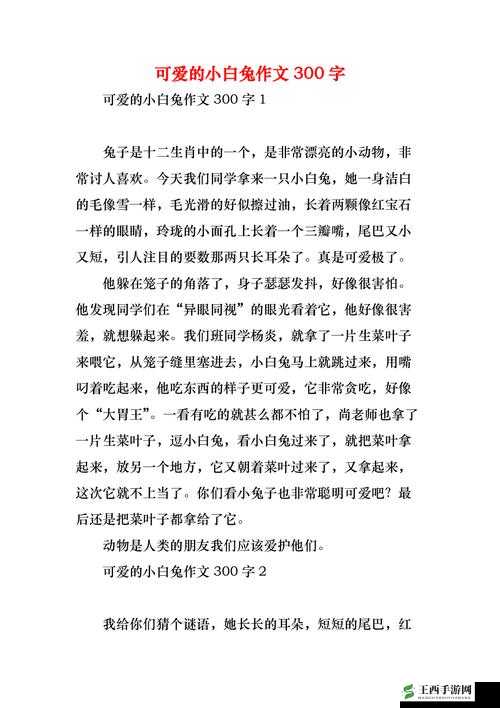 老师的大兔子:那温暖而特别的存在