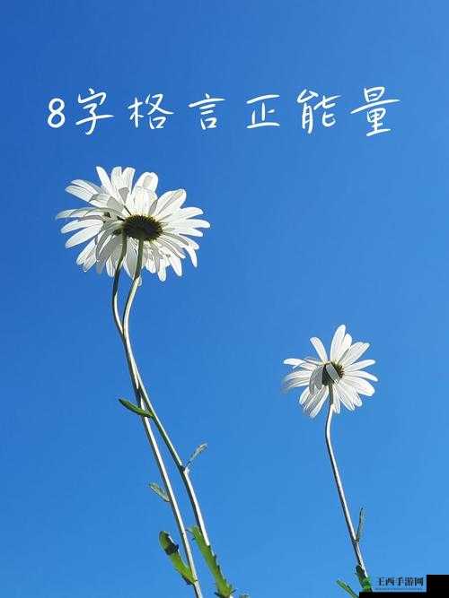 黑料正能量：从负面事件中发掘积极的力量和启示