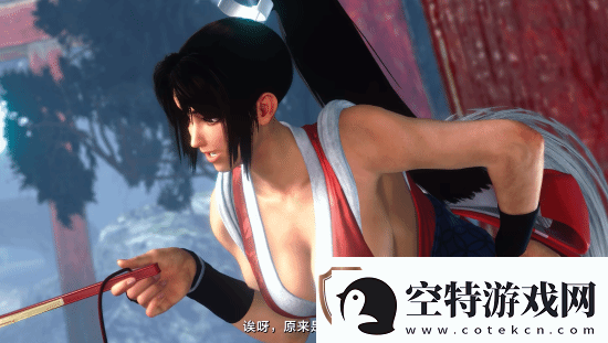 各版本女忍者