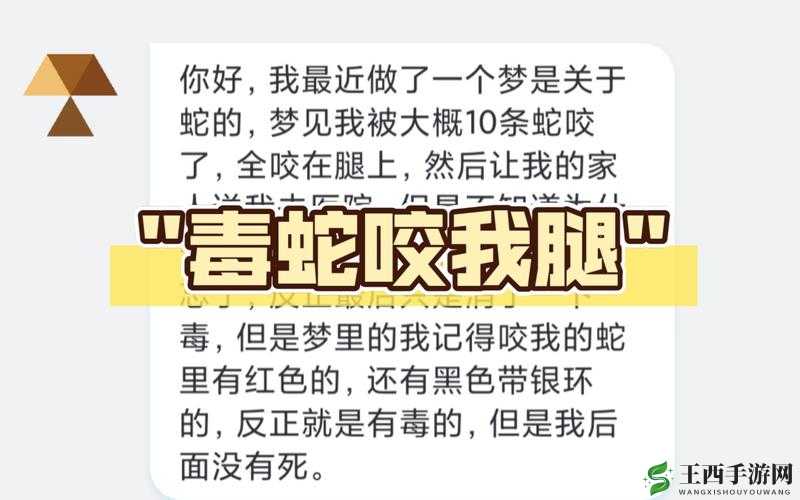 少年掉进蛇洞被蛇改造成怪物：一段惊悚离奇的故事就此展开