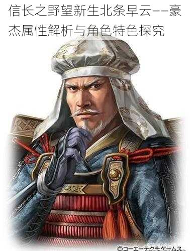 信长之野望新生北条早云——豪杰属性解析与角色特色探究