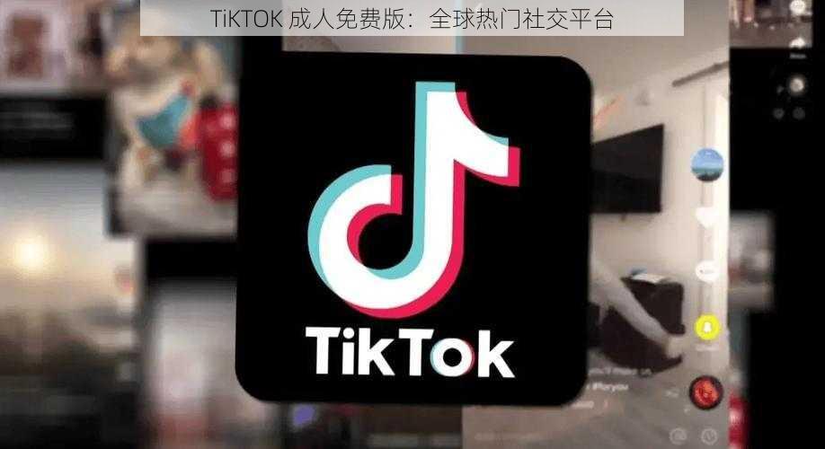 TiKTOK 成人免费版:全球热门社交平台