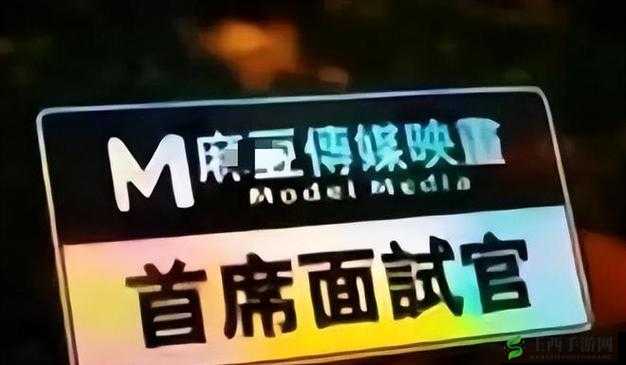 麻豆视传媒APP官方网站入口：带你走进精彩的影视世界