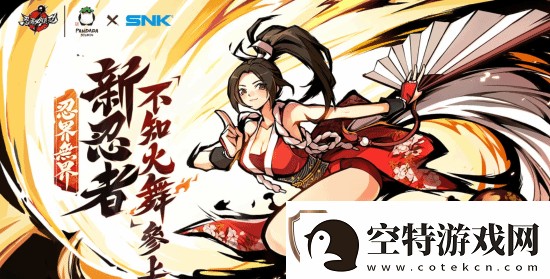 各版本女忍者