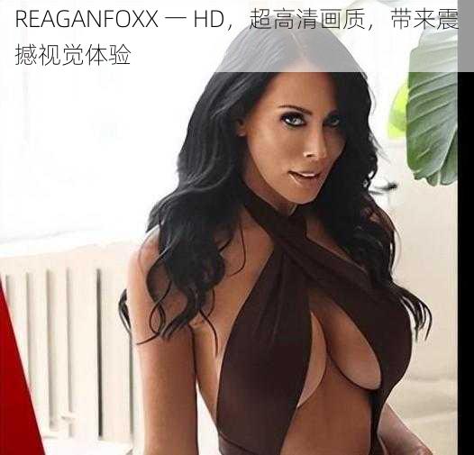 REAGANFOXX 一 HD,超高清画质,带来震撼视觉体验