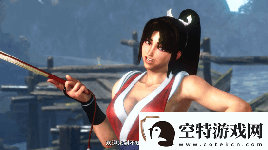 各版本女忍者