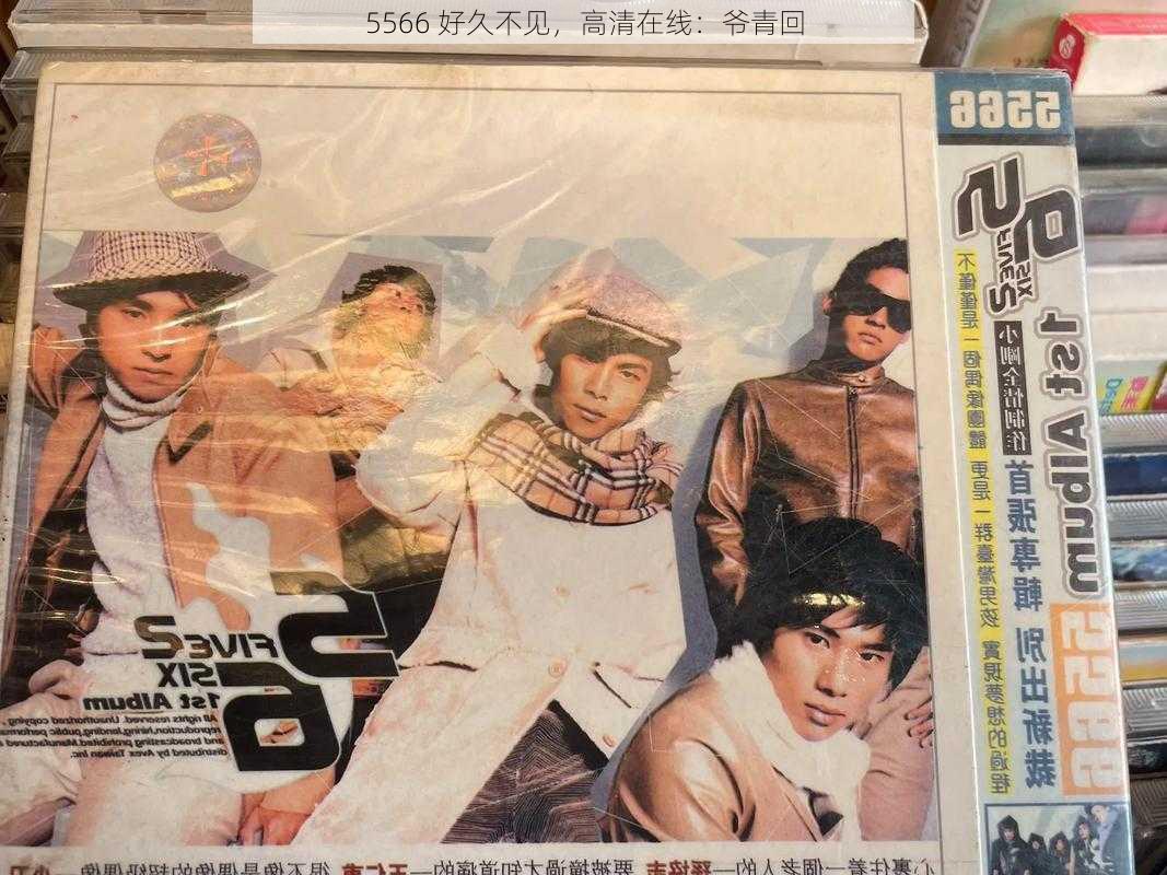 5566 好久不见，高清在线：爷青回
