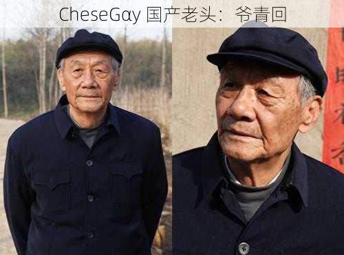 CheseGαy 国产老头：爷青回