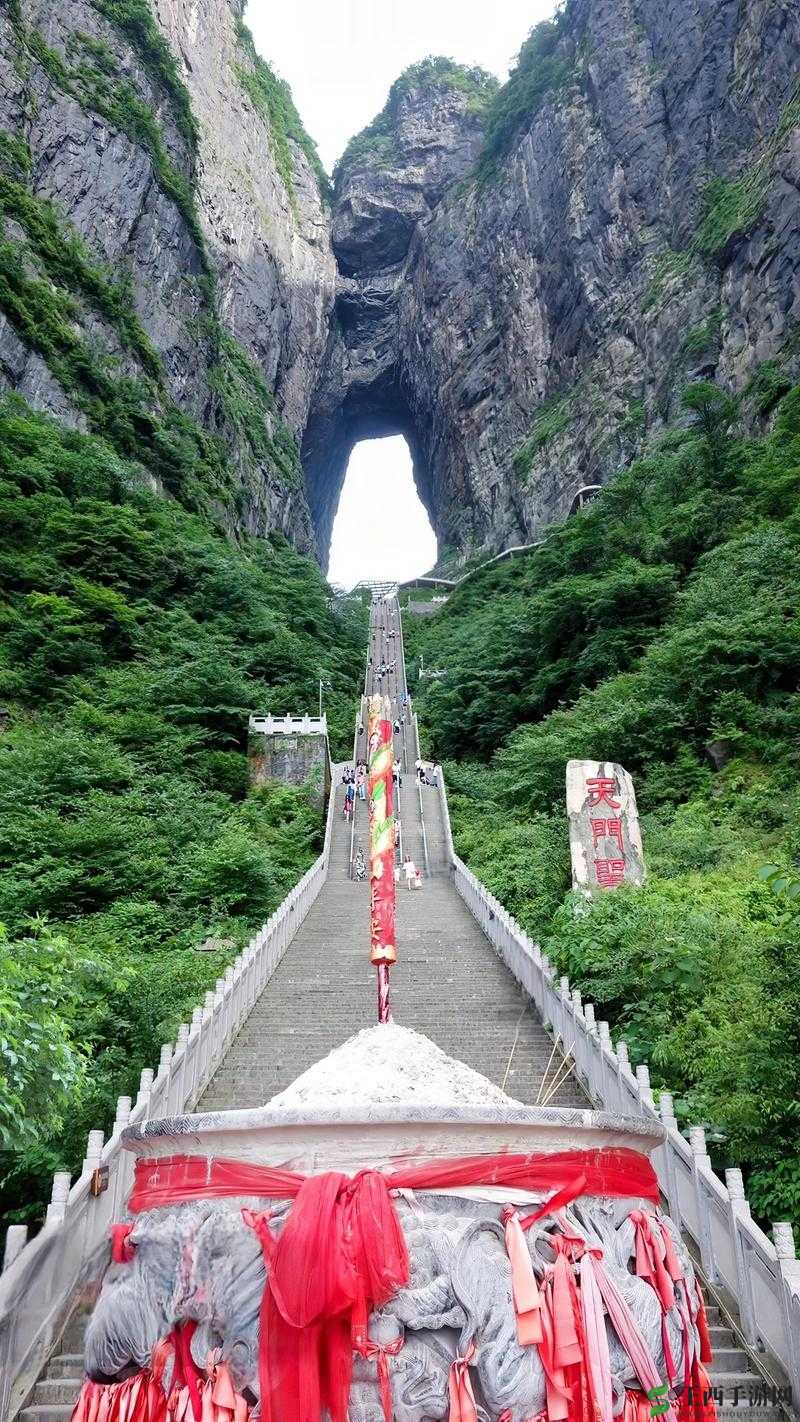 仙踪林入口网站欢迎您免费进入:带您领略奇妙的仙境之旅