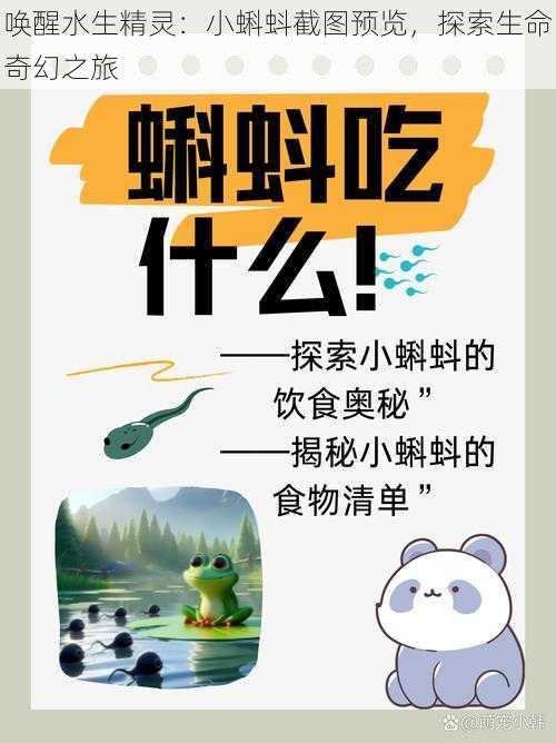 唤醒水生精灵：小蝌蚪截图预览，探索生命奇幻之旅