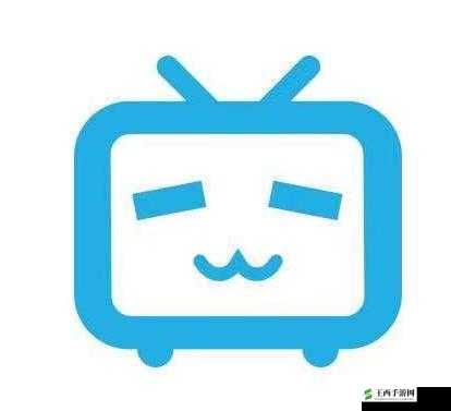 每天晚上偷偷看 B 站:那些不为人知的时光