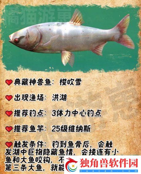 欢乐钓鱼大师典藏神兽鱼怎么钓