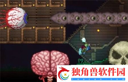 泰拉瑞亚树妖结婚条件是什么-泰拉瑞亚树妖结婚条件介绍