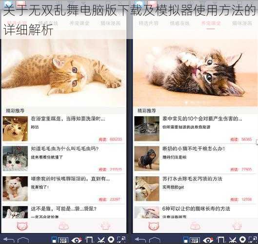 关于无双乱舞电脑版下载及模拟器使用方法的详细解析