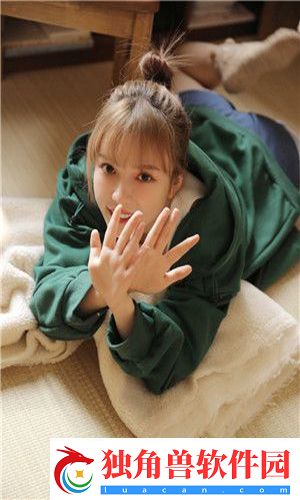 高清windows免费版网站：解锁无损画质的最佳选择！
