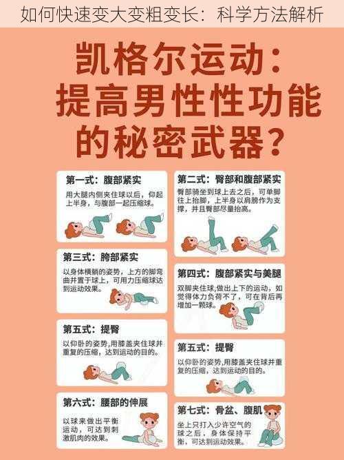 如何快速变大变粗变长:科学方法解析