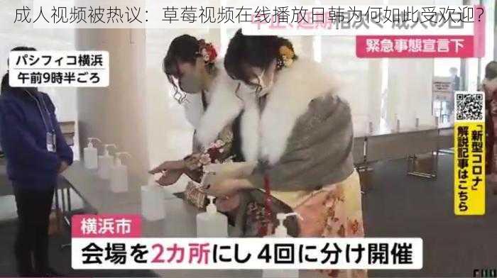 成人视频被热议:草莓视频在线播放日韩为何如此受欢迎?