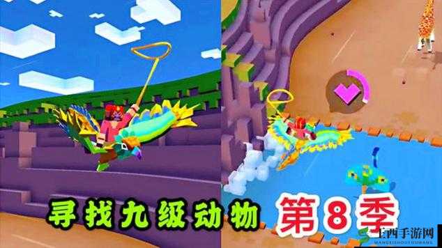 神雕侠侣秃鹰传，探索疯狂动物园中秃鹰的传奇故事