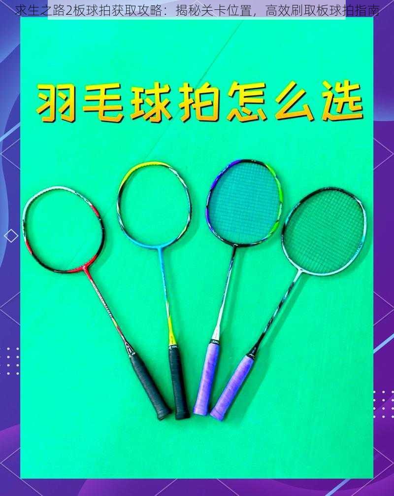 求生之路2板球拍获取攻略:揭秘关卡位置,高效刷取板球拍指南