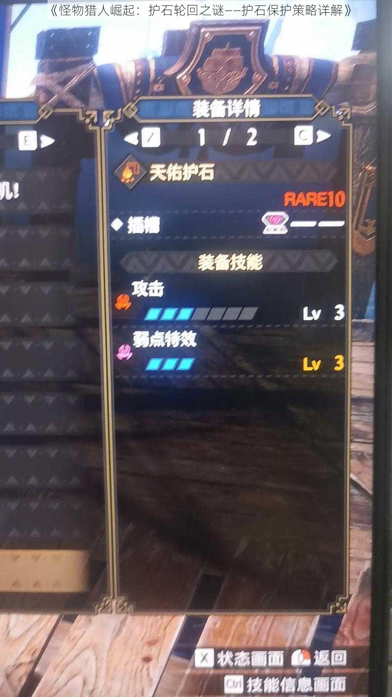 《怪物猎人崛起：护石轮回之谜——护石保护策略详解》