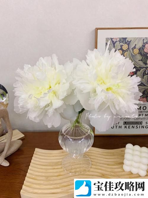 双阳插花芯-友：这竟是我心中未解的秘密！