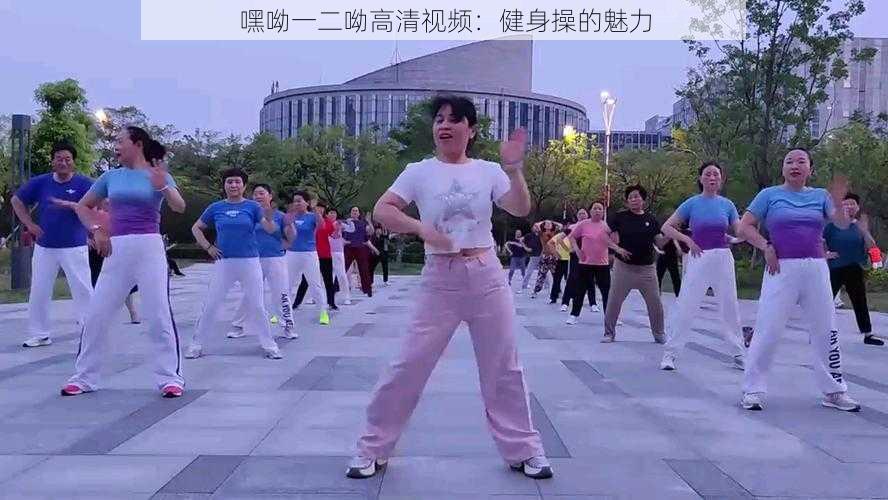 嘿呦一二呦高清视频:健身操的魅力