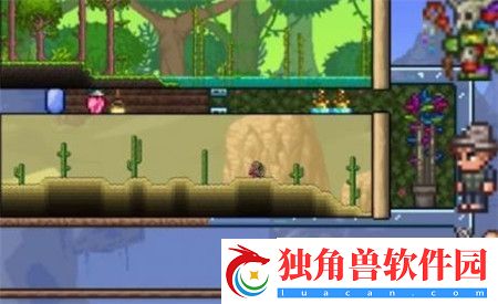 泰拉瑞亚树妖结婚条件是什么
