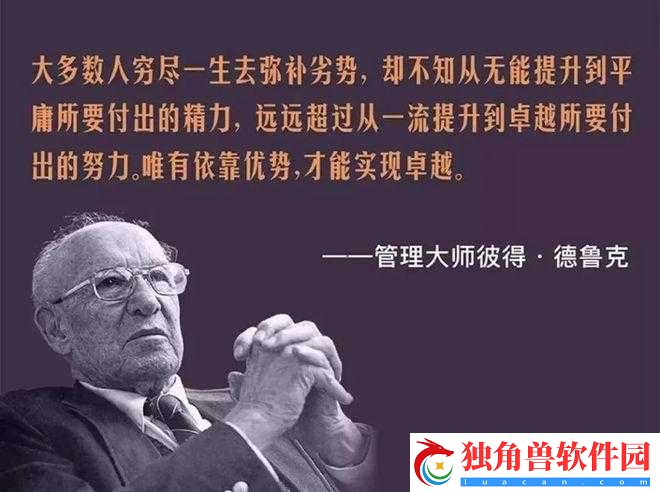 成品人精品人的区别在哪里：探索成功与卓越的分野