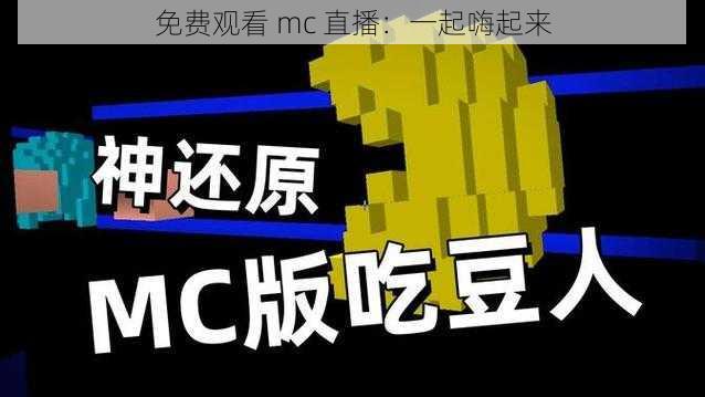 免费观看 mc 直播：一起嗨起来