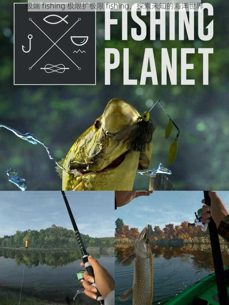 极端 fishing 极限扩极限 fishing,探索未知的海洋世界
