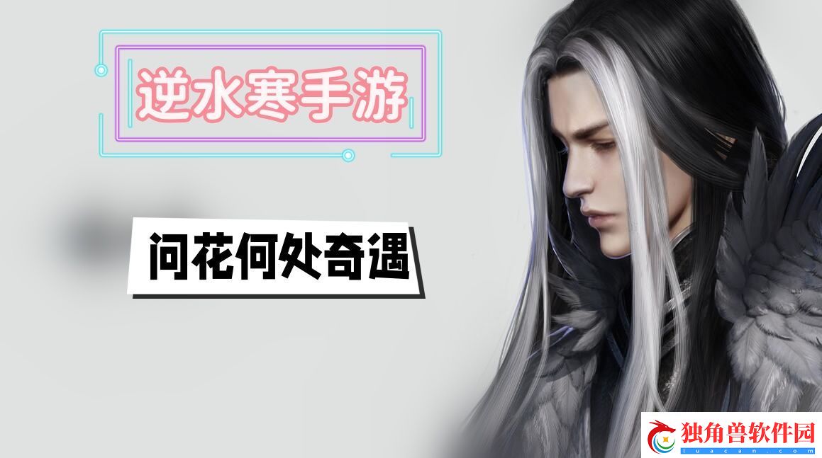 问花何处奇遇攻略