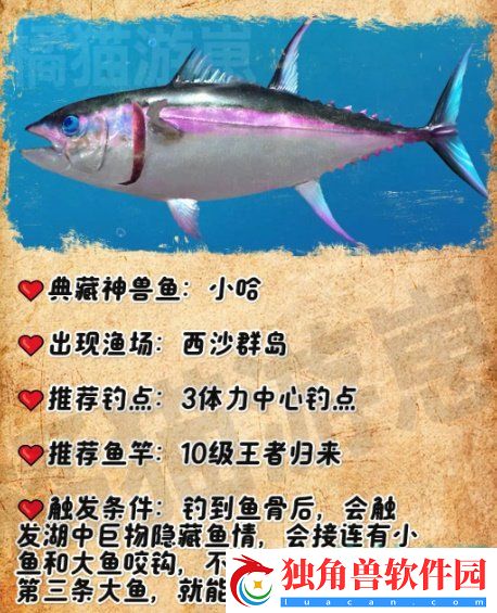 欢乐钓鱼大师典藏神兽鱼怎么钓