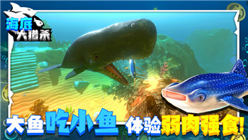 上古卷轴5附魔用什么-探索最适合的附魔组合与策略