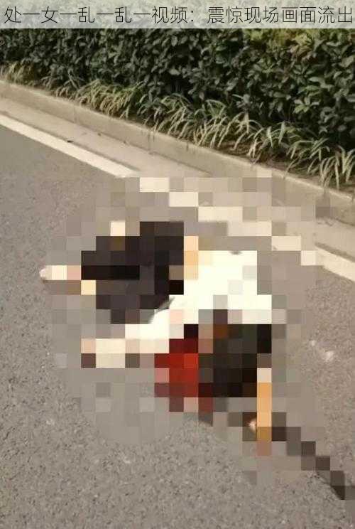 处一女一乱一乱一视频:震惊现场画面流出