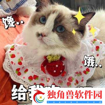 小洞饿了-想吃大香肠-喝热牛奶-好馋人啊-直接复制这个即可