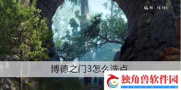 博德之门3怎么洗点：大胆尝试时尚服饰配搭