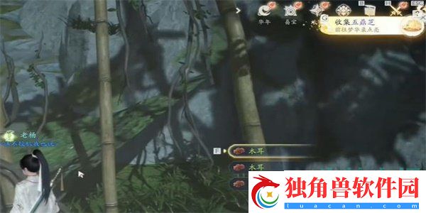 射雕手游五鼎芝怎么收集